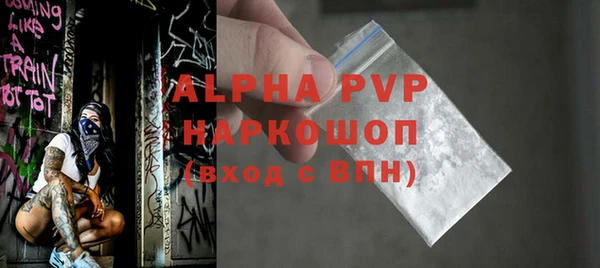 сатива Горняк