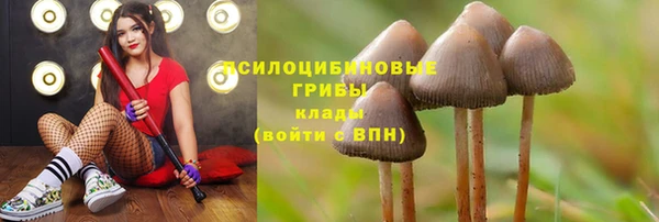 метадон Горнозаводск