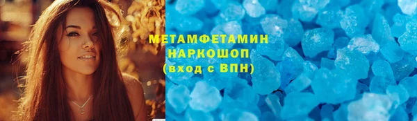 сатива Горняк