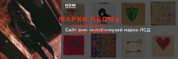 сатива Горняк