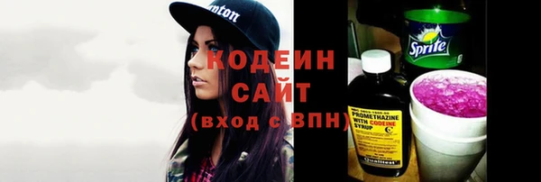 ГАЛЛЮЦИНОГЕННЫЕ ГРИБЫ Пересвет
