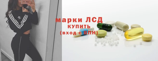 сатива Горняк