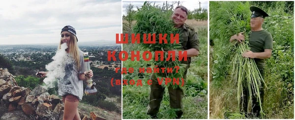 метадон Горнозаводск