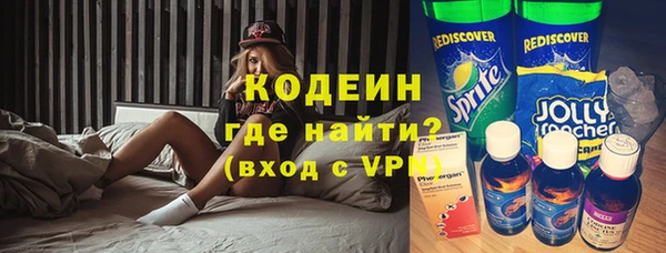 сатива Горняк