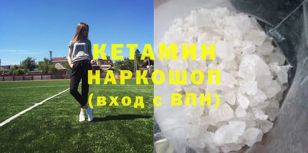 индика Чегем
