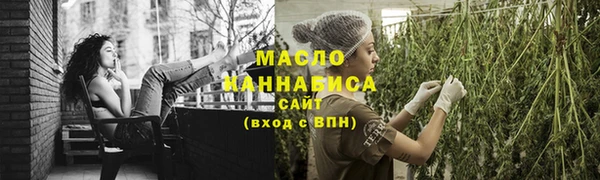 сатива Горняк